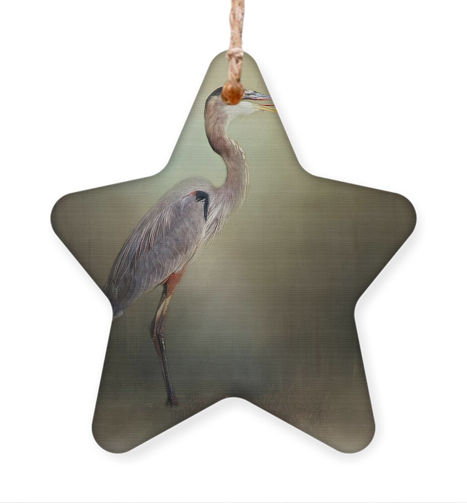 Animal Ornament featuring the photograph The Next Catch by Lana Trussell
