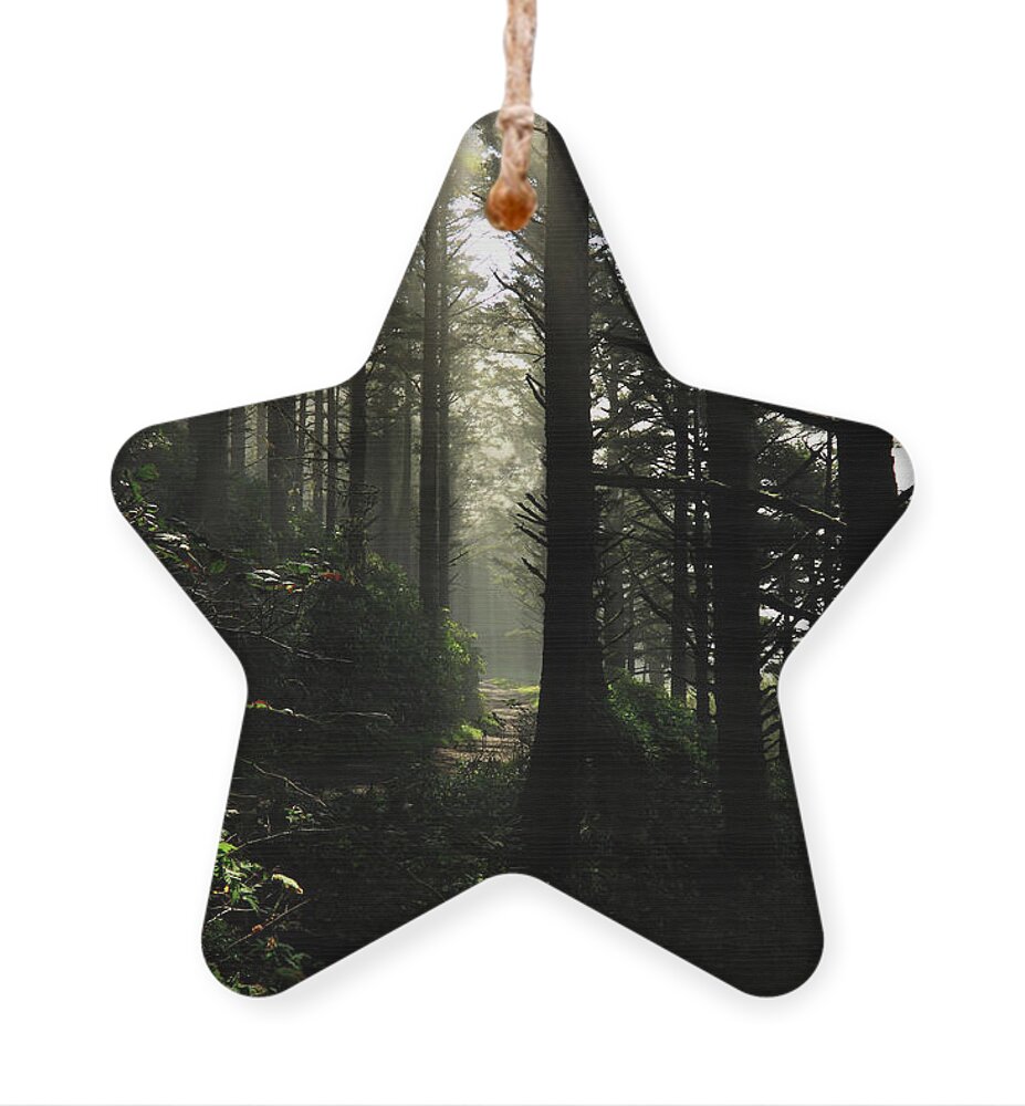 Inspirational Ornament featuring the photograph The Path Back Home by James Eddy