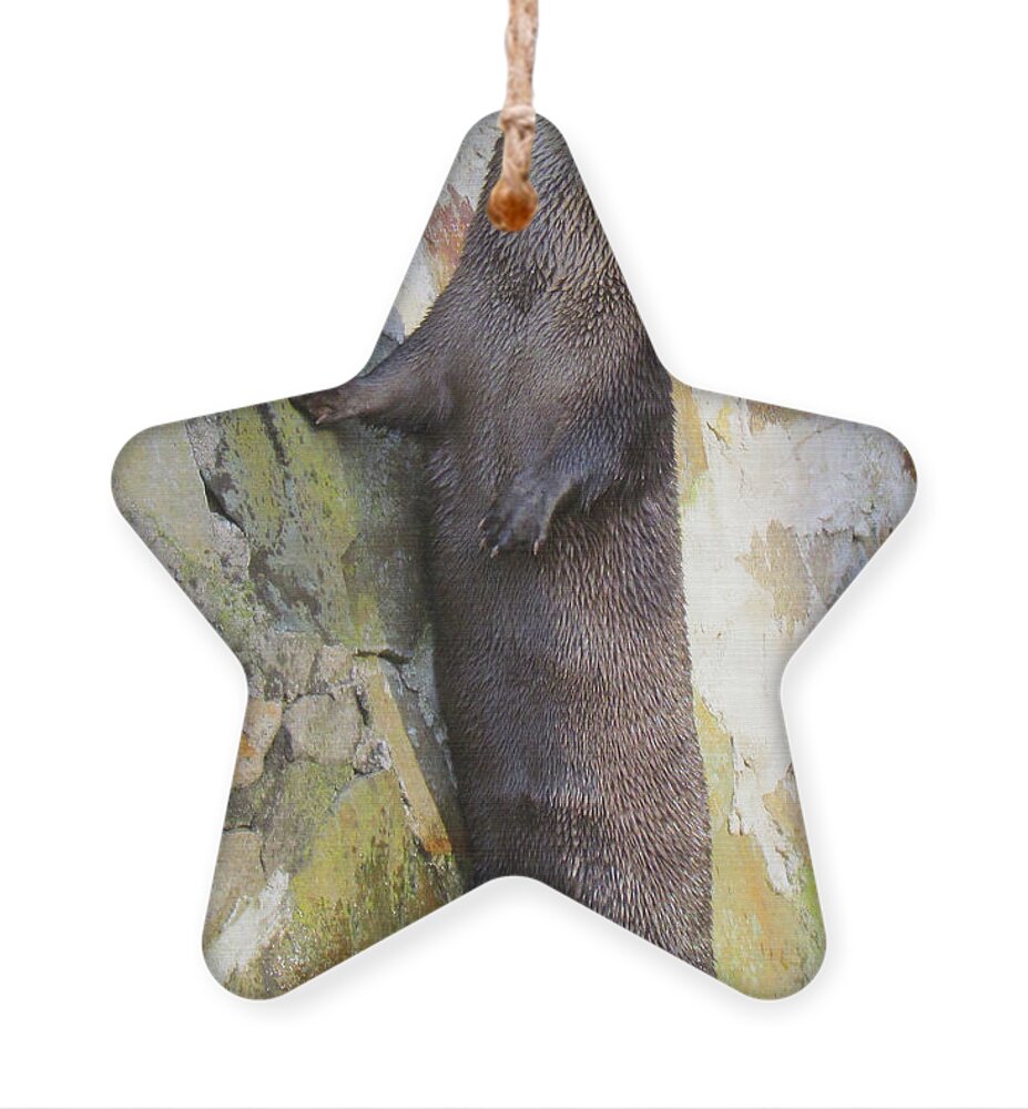 Otter Ornament featuring the photograph The Poser by Lori Lafargue