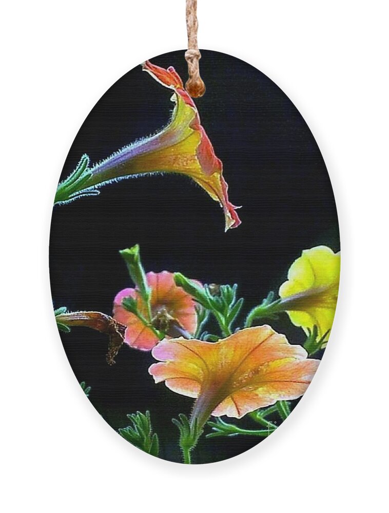 Flowers Ornament featuring the photograph The Profile by Dani McEvoy