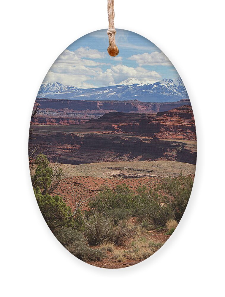 Utah Landscape Ornament featuring the photograph The Red Divide by Jim Garrison