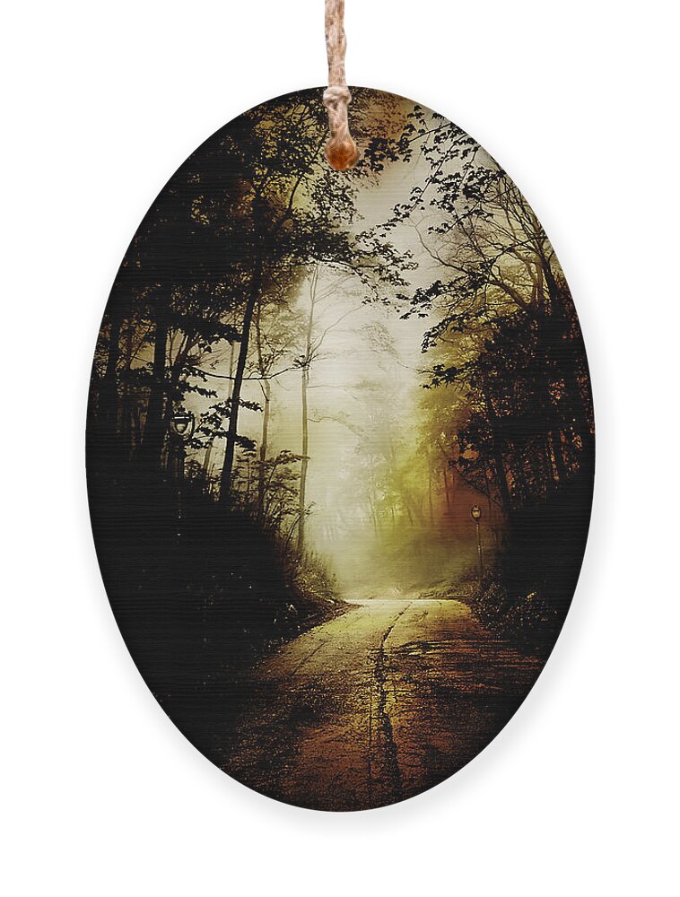Abandoned Ornament featuring the photograph The Road to Hell Take 2 by Scott Norris