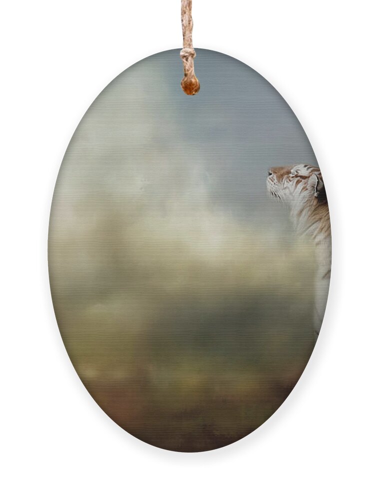 Jai Johnson Ornament featuring the photograph The Scent Of The Storm by Jai Johnson