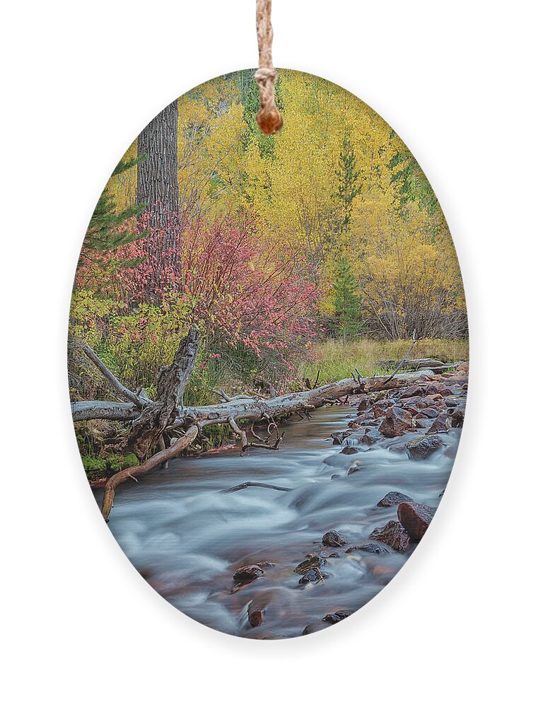 Fall Ornament featuring the photograph The Sierra Autumn by Jonathan Nguyen