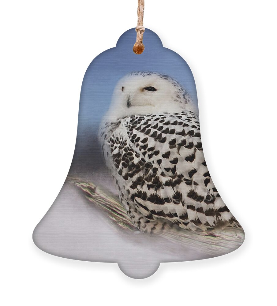 Animal Ornament featuring the photograph The Snowy Owl by Lana Trussell