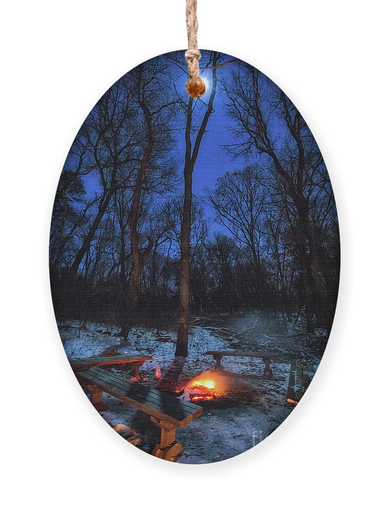 Moonlight Ornament featuring the photograph The Warm Heart of Winter by Becqi Sherman