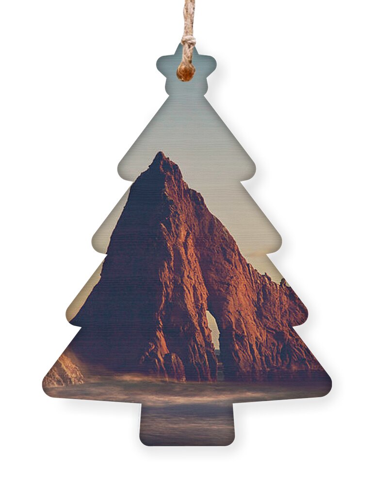 Martins Beach Ornament featuring the photograph This Need in Me by Laurie Search