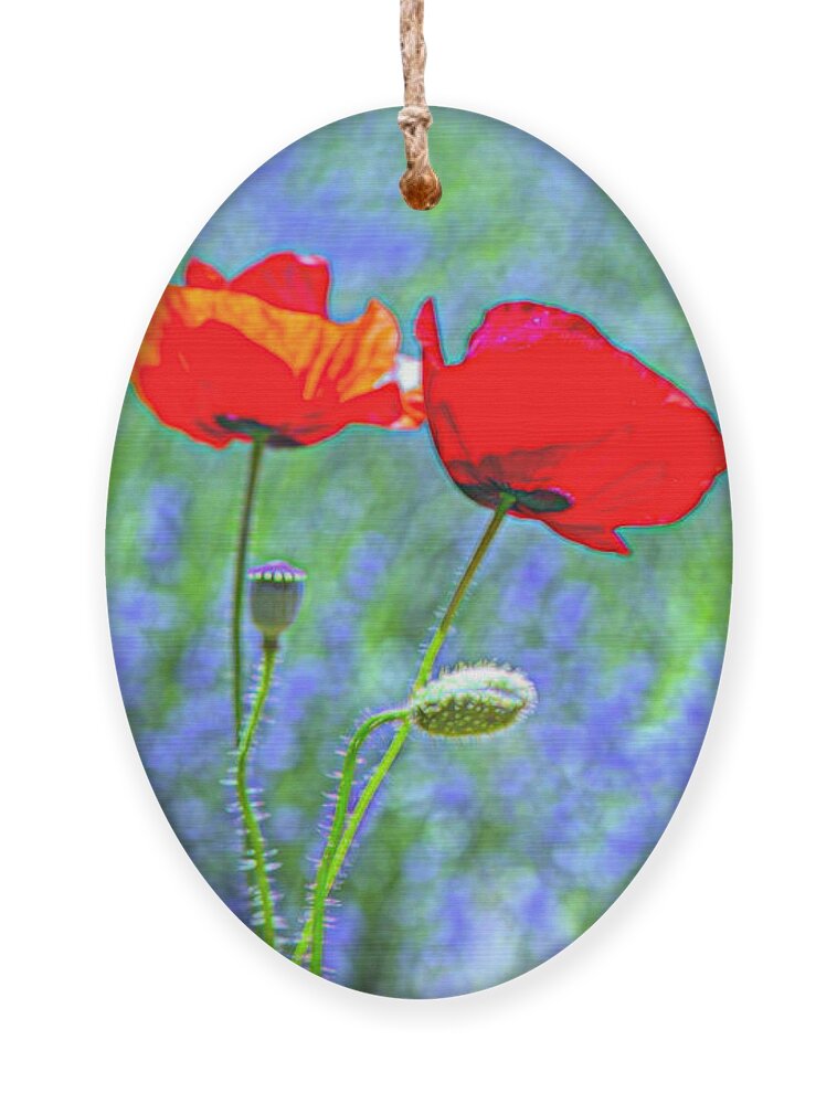 Botanical Ornament featuring the photograph Three Sisters by Alana Thrower