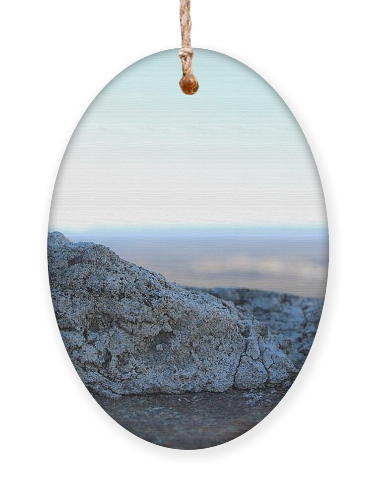 Stone Ornament featuring the photograph To the Horizon by Christopher Lotito