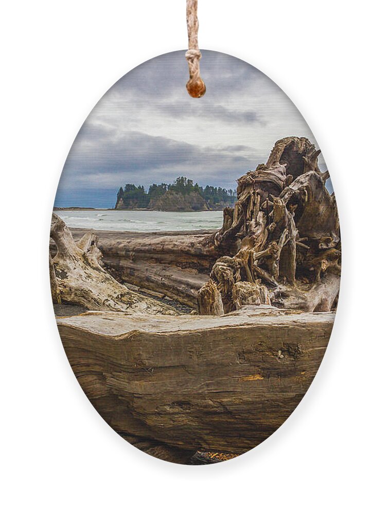 Beach Ornament featuring the photograph Tree Sculpture by Roslyn Wilkins