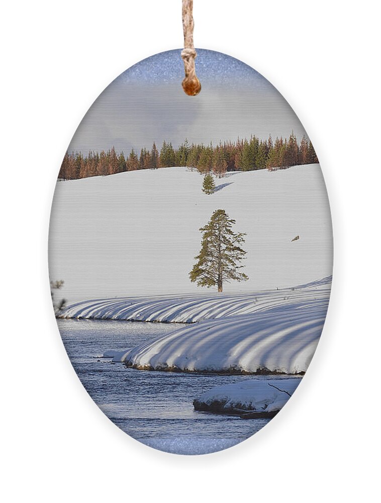 Yellowstone National Park Ornament featuring the photograph Tree Shadows along the Madison by Kae Cheatham