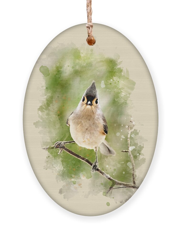 Bird Ornament featuring the mixed media Tufted Titmouse - Watercolor Art by Christina Rollo