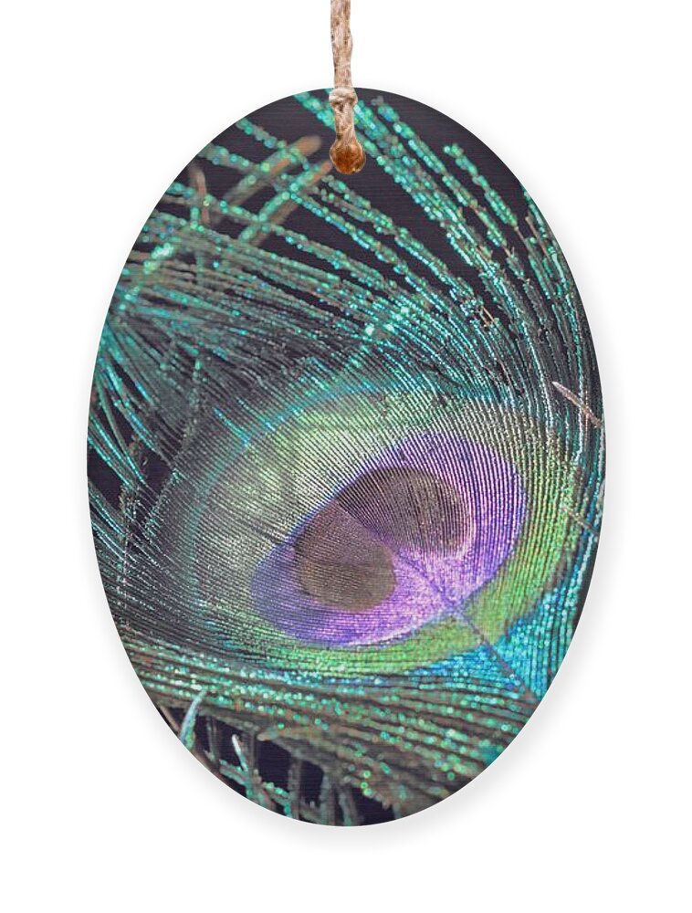 Peacock Feather Ornament featuring the photograph Turquoise Feather by Angela Murdock
