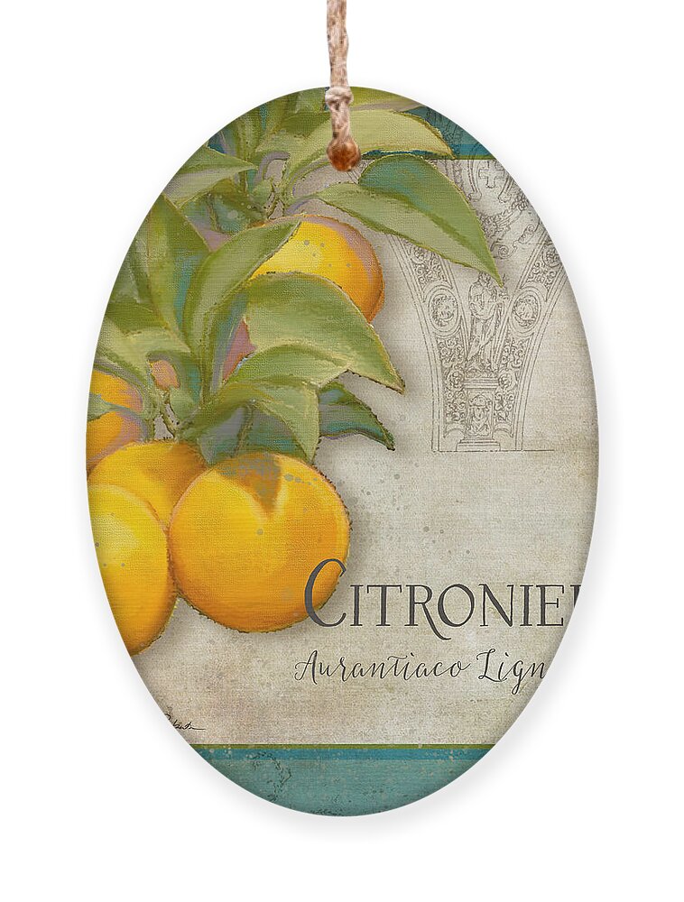 Orange Ornament featuring the painting Tuscan Orange Tree - Citronier Aurantiaco Lignum Vintage by Audrey Jeanne Roberts