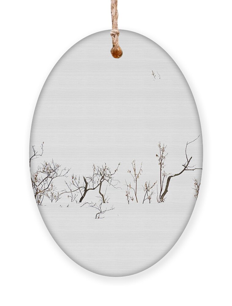 Twigs Ornament featuring the photograph Twigs in Snow by Bryan Carter