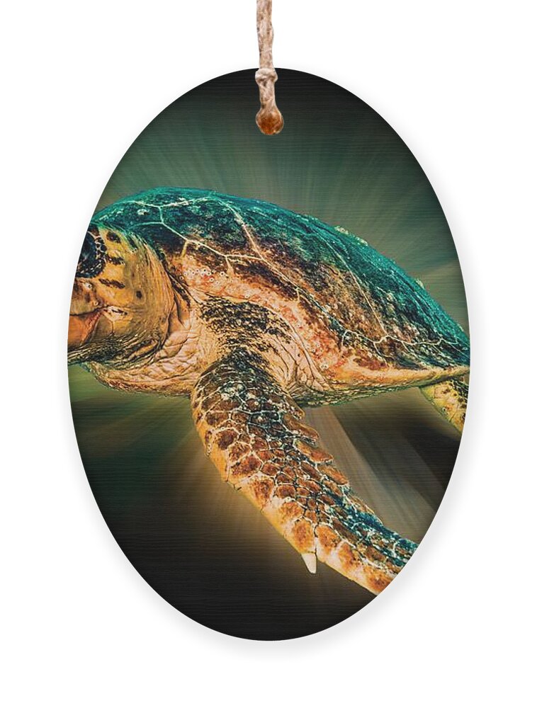 Turtle Ornament featuring the photograph Undersea Turtle by Debra and Dave Vanderlaan