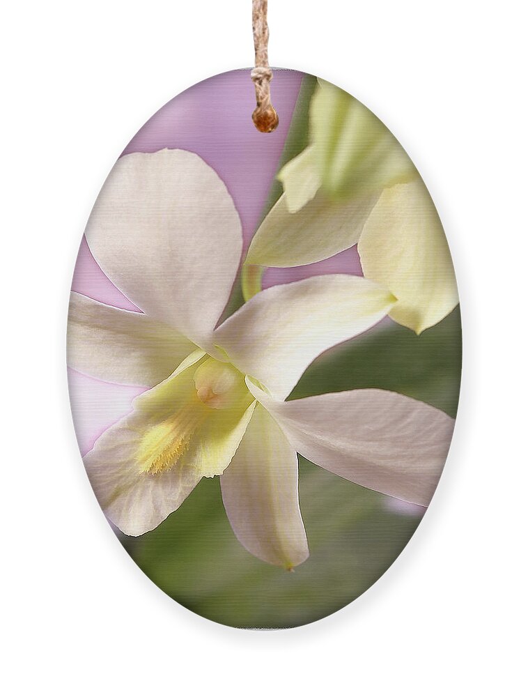 White Flower Ornament featuring the photograph Unique White Orchid by Mike McGlothlen