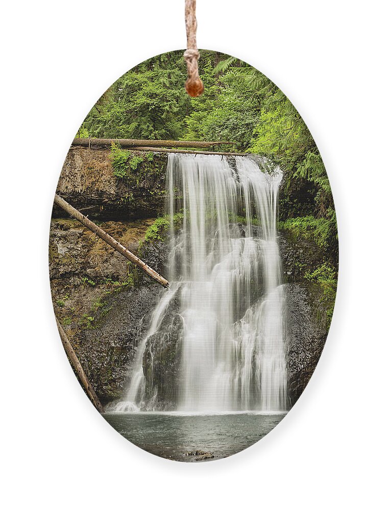 Silver Creek Falls Ornament featuring the photograph Upper North Silver Falls Vertical by Mary Jo Allen