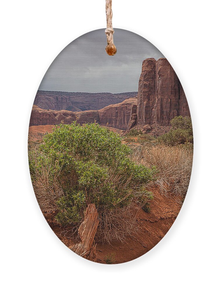 Monument Valley Print Ornament featuring the photograph Valley of God by Jim Garrison