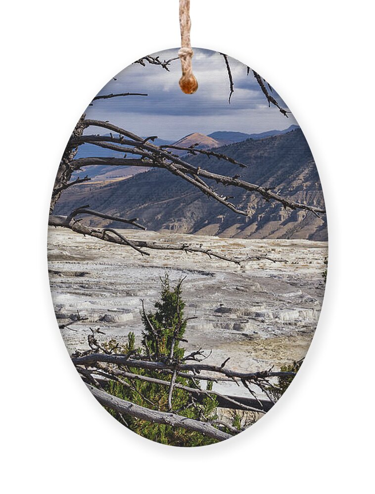 America Ornament featuring the photograph View of the travertine and mountains from the pathway at Mammoth Hot Springs by Roslyn Wilkins