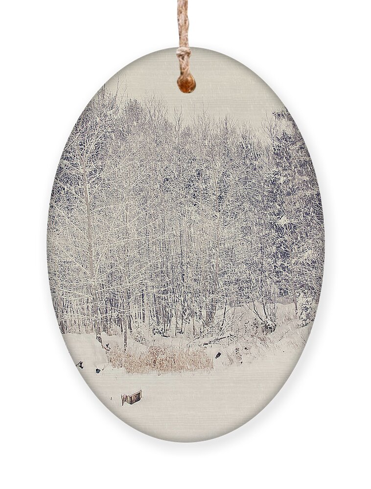 Vintage Snow Print Ornament featuring the photograph Vintage Snow Print by Gwen Gibson
