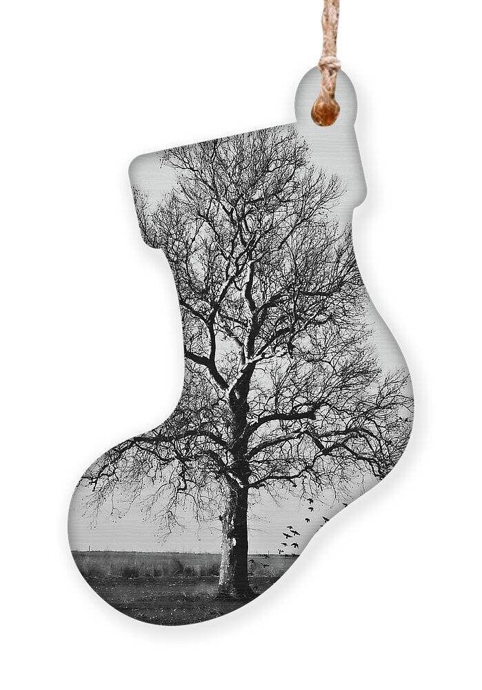 Tree Ornament featuring the photograph Waiting by Lana Trussell