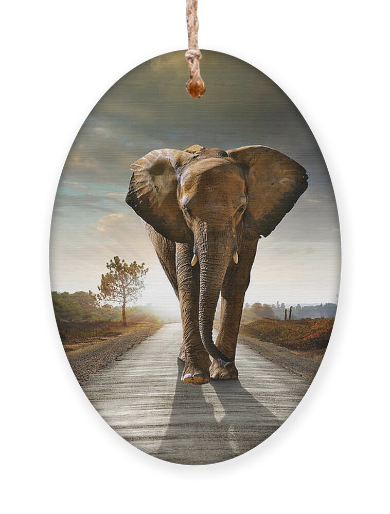 African Ornament featuring the photograph Walking Elephant by Carlos Caetano