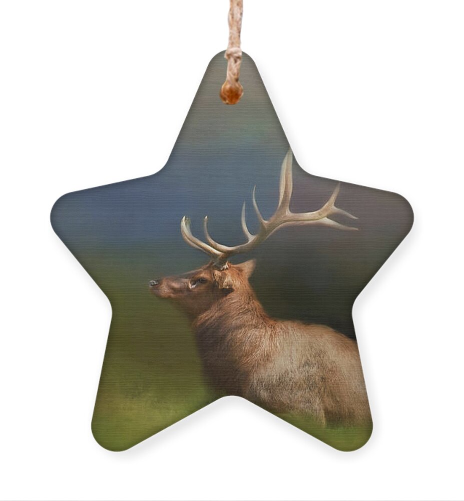 Animal Ornament featuring the photograph Watching Over Them by Lana Trussell