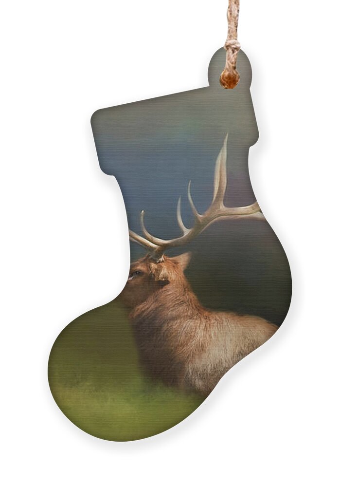 Animal Ornament featuring the photograph Watching Over Them by Lana Trussell