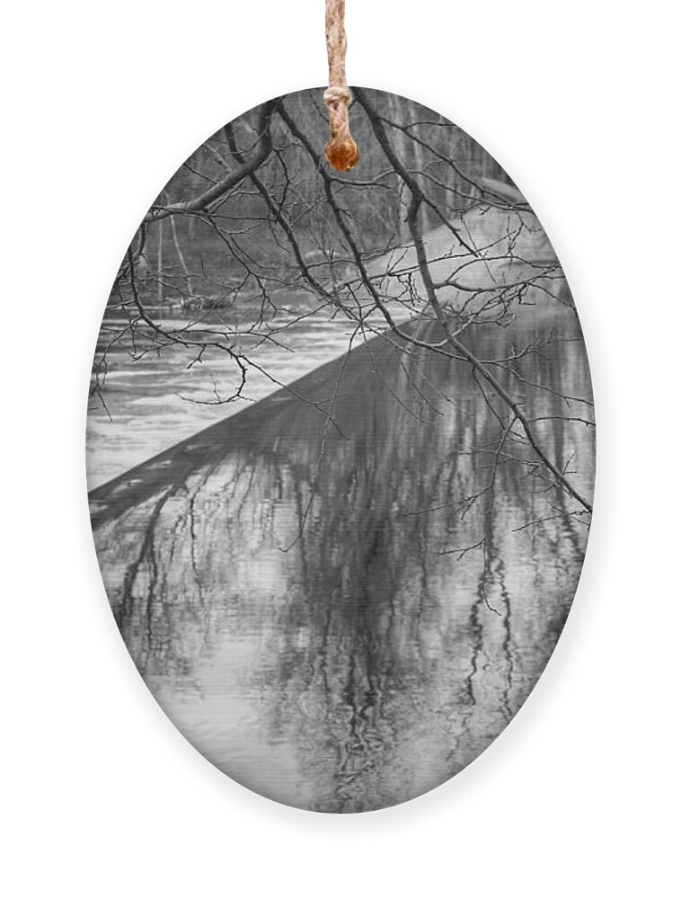 Winter Ornament featuring the photograph Water Flowing Over Dam in Wayne New Jersey by Christopher Lotito