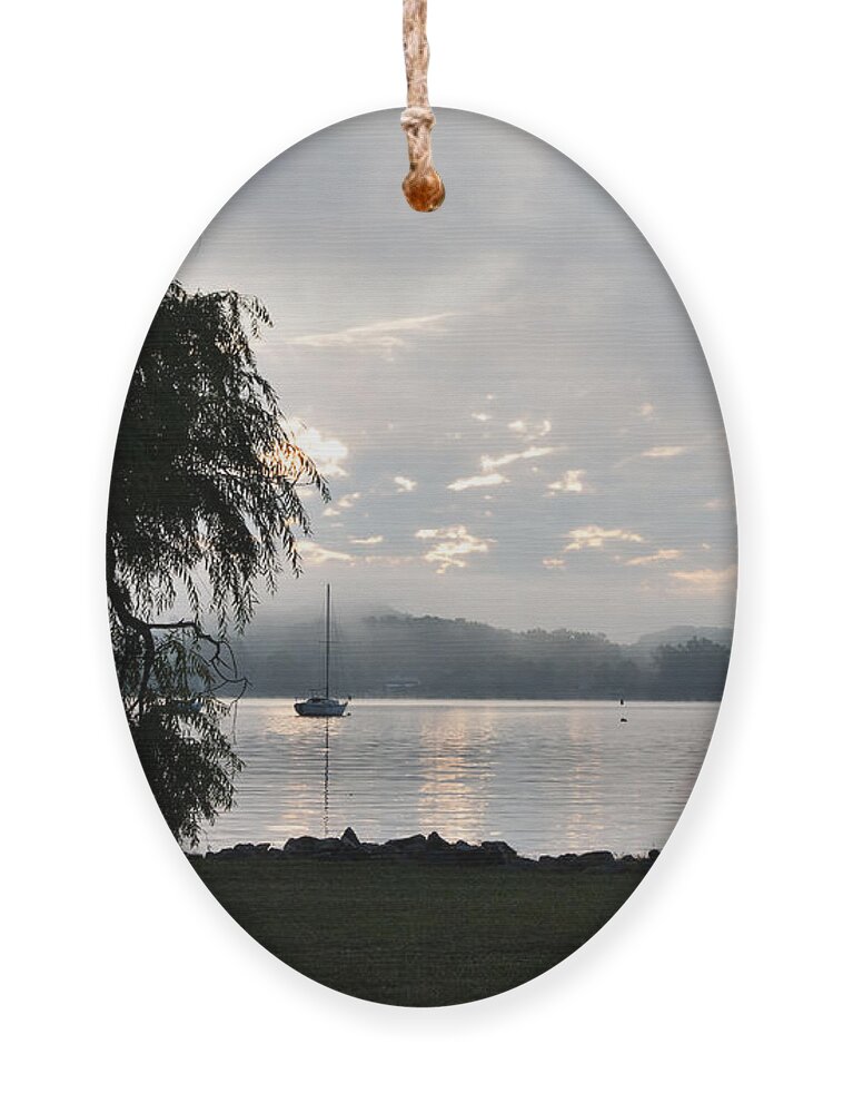 Water Tree Ornament featuring the photograph Water Tree by Sharon Popek