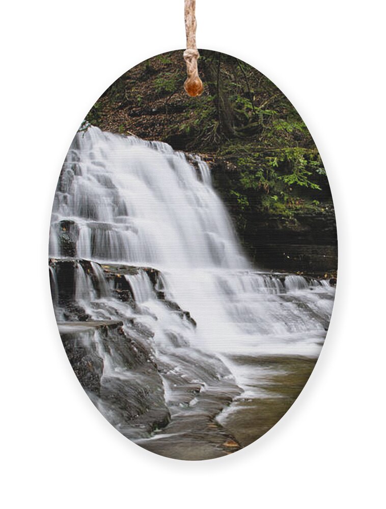 Waterfalls Ornament featuring the photograph Waterfall Cascade Salt Springs State Park by Christina Rollo