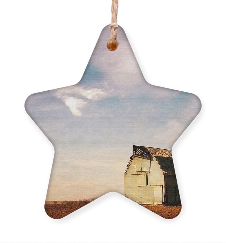 Barn Ornament featuring the photograph Weathered In Texture by Lana Trussell