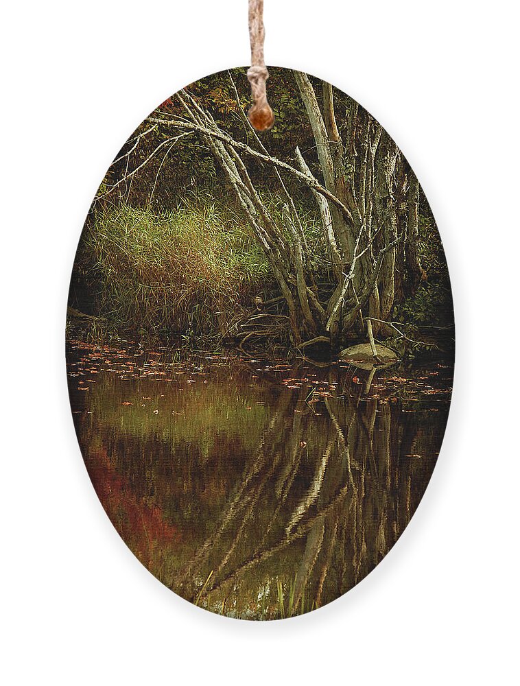 Cindi Ressler Ornament featuring the photograph Weeping Branch by Cindi Ressler