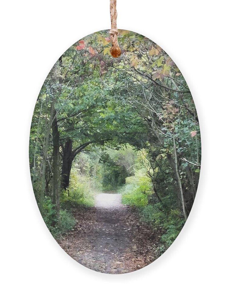 Path Ornament featuring the photograph Welcome to the Wooded Path by Vic Ritchey