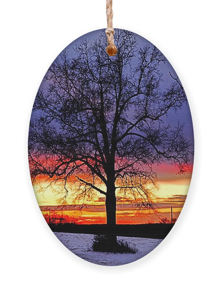 Sunset Ornament featuring the photograph West by Dani McEvoy