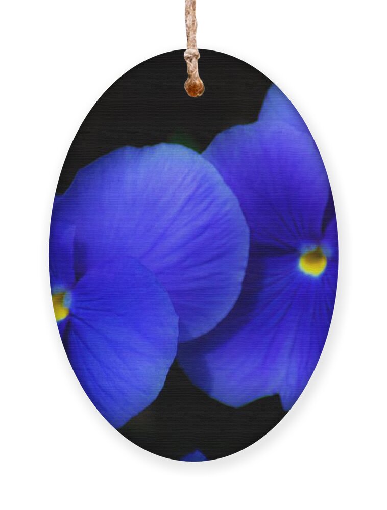 Flowers Ornament featuring the photograph West Virginia flower 1 by Merle Grenz