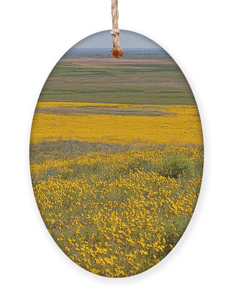 Yellow Wildflowers Ornament featuring the photograph What Lies Ahead by Jim Garrison