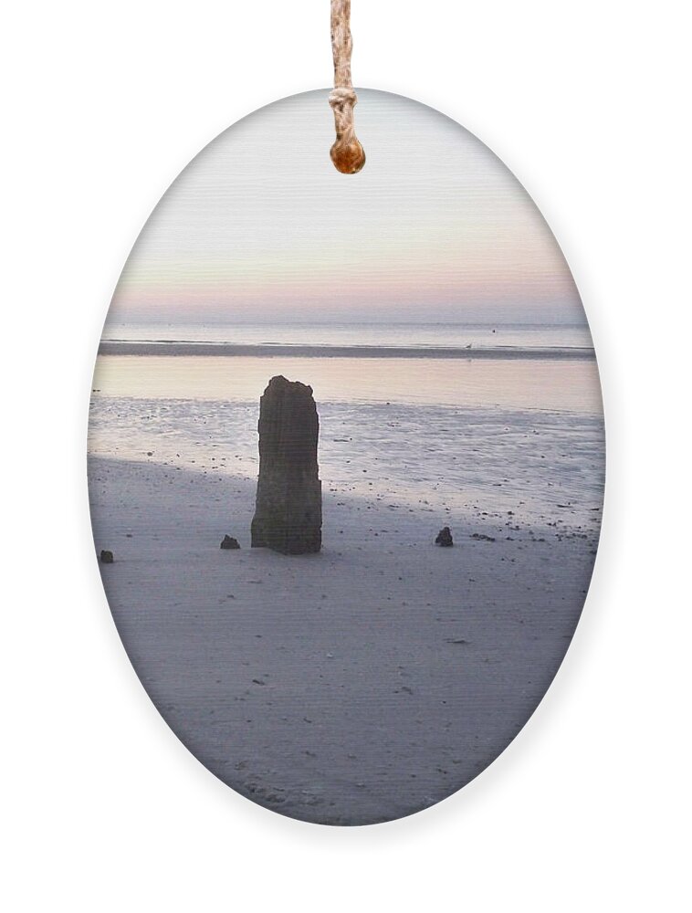 Florida Ornament featuring the photograph What Remains by Chris Andruskiewicz