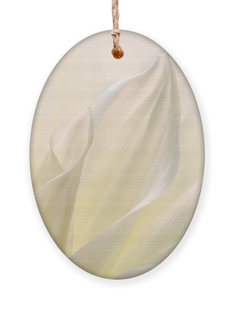 Flora Ornament featuring the photograph White Delicacy by Mary Jo Allen