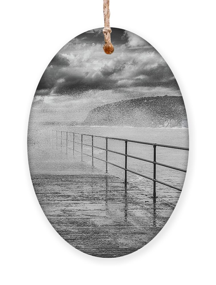 Whitehead Ornament featuring the photograph Whitehead with a splash of colour by Nigel R Bell
