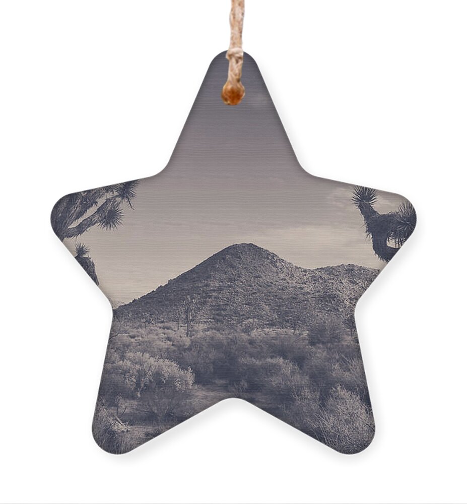 Joshua Tree National Park Ornament featuring the photograph Who We Used to Be by Laurie Search