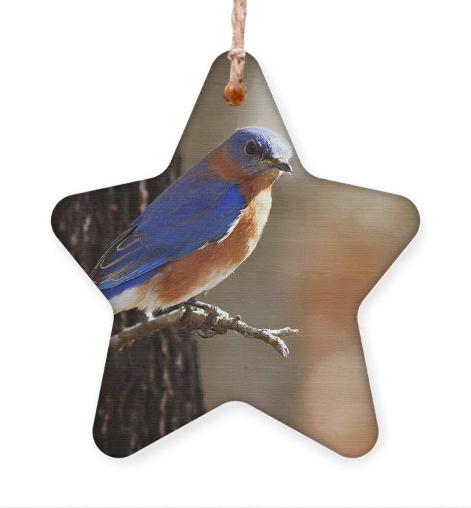 Eastern Ornament featuring the photograph Wild Blue by Lana Trussell