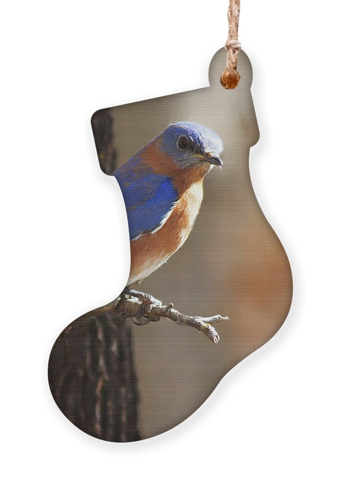 Eastern Ornament featuring the photograph Wild Blue by Lana Trussell