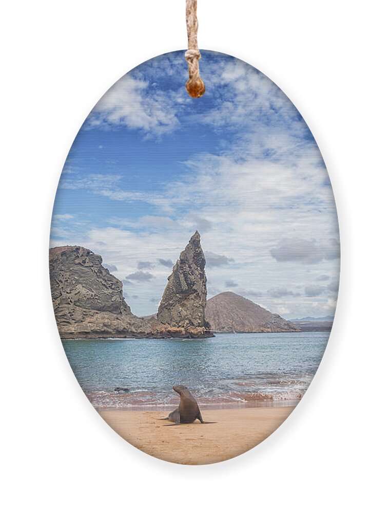 Galapagos Ornament featuring the photograph Wild Blue Places by Becqi Sherman
