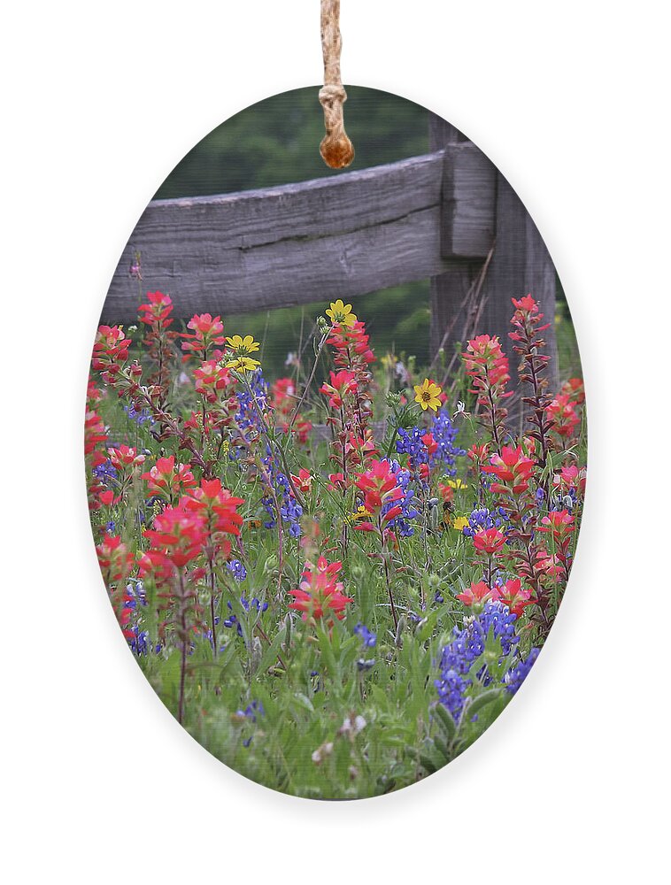 Blue Bonnets Ornament featuring the photograph Wild Flowers by Robert Bellomy