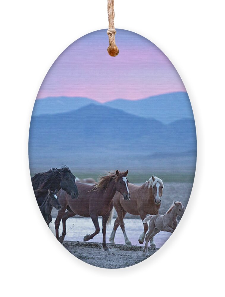 Wild Horse Ornament featuring the photograph Wild Horse Sunrise by Wesley Aston