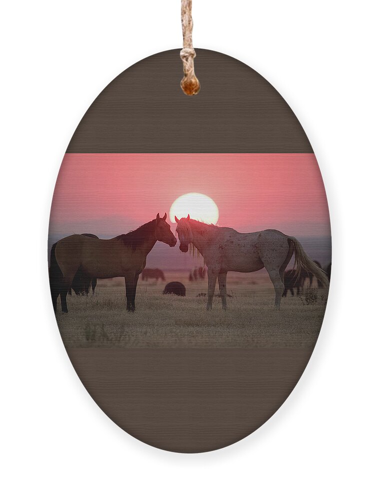 Wild Horse Ornament featuring the photograph Wild Horse Sunset by Wesley Aston