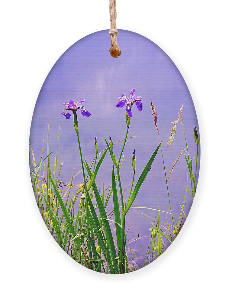 Purple Wild Iris Print Ornament featuring the photograph Wild Iris Print by Gwen Gibson