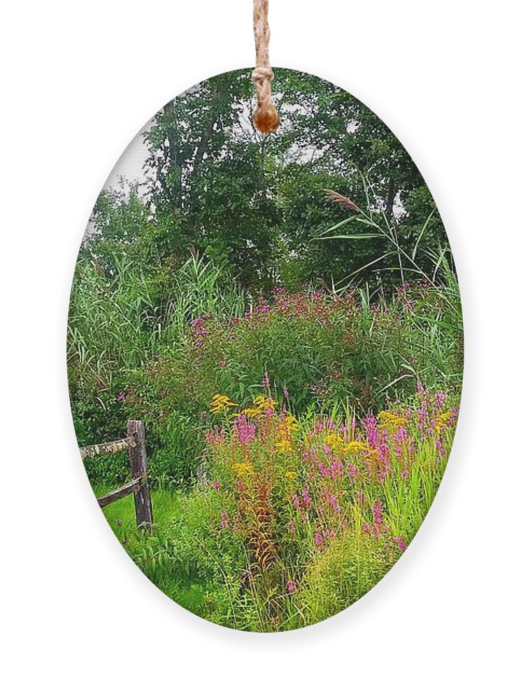 Wildflowers Ornament featuring the photograph Wildflowers and Fence in Bridgewater by Dani McEvoy